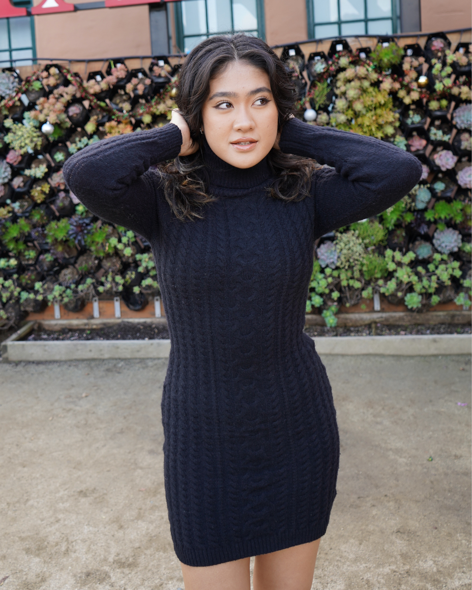 Kimberly Sweater Dress S / Black