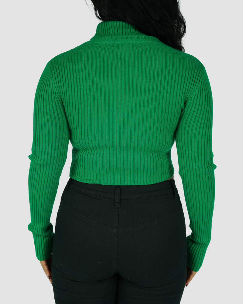 
                  
                    Lydia Ribbed Turtleneck
                  
                